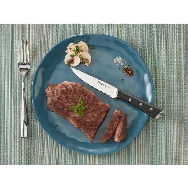 Rozsdamentes acél steak kés szett 4 db-os Ice Force - Tefal-image-1