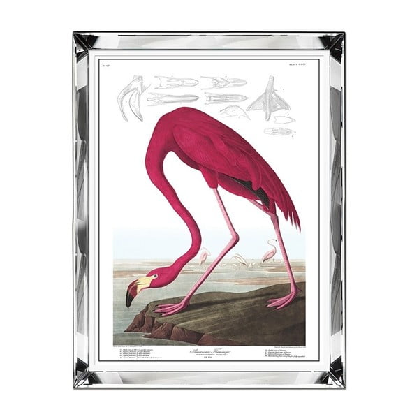 The Flamingo fali kép, 71 x 91 cm - JohnsonStyle