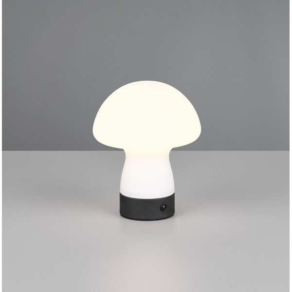 Matt fehér LED asztali lámpa üveg búrával (magasság 18 cm) Dooley – Reality-image-1