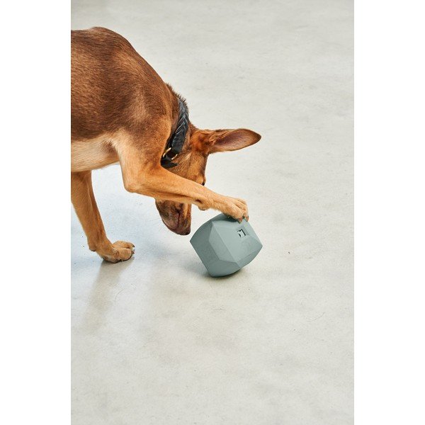 Kutyajáték Dado Eucalyptus – MiaCara-image-2