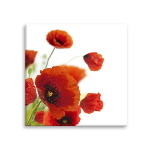 Glas Maki Poppies kép, 30 x 30 cm - Styler