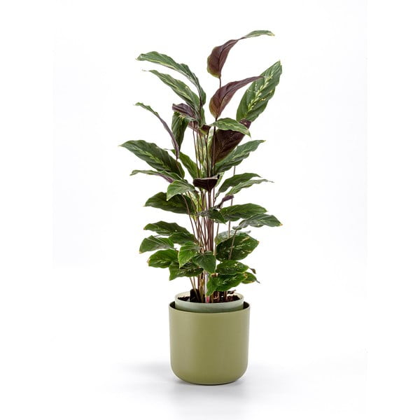 Tolita zöld önöntöző virágtartó, ø 16 cm - Plastia-image-1