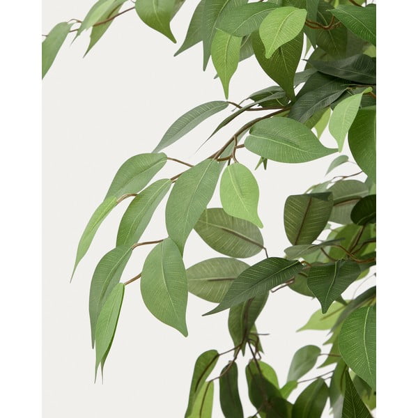 Fikusz műnövény (magasság 180 cm) Ficus – Kave Home-image-3