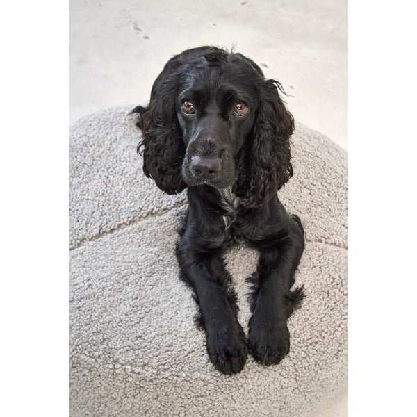 Szürke buklé fekhely kutyáknak ø 90 cm Senso Pouffe Pebble M/L – MiaCara-image-2