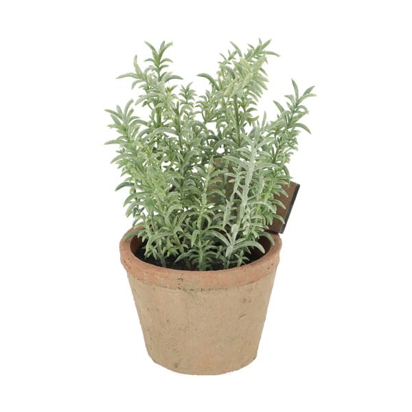 Műnövény (magasság 21,5 cm) Thyme – Esschert Design-image-2