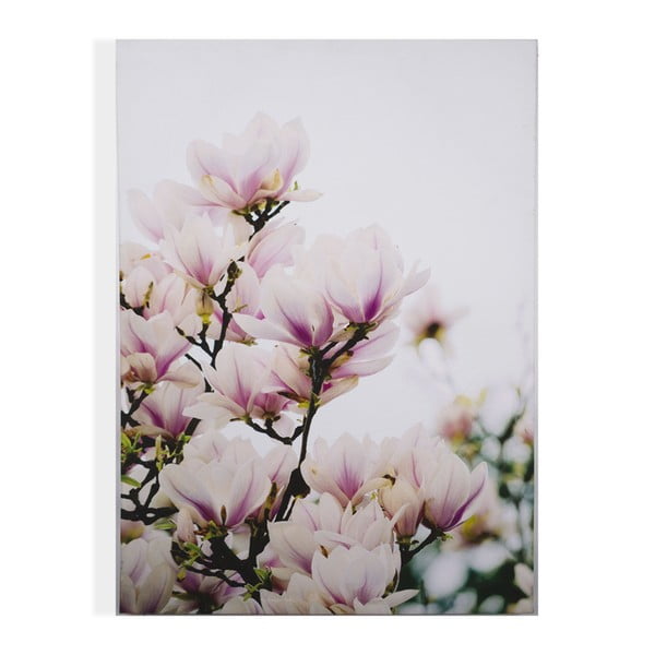 Magnolia Blossoms kép, 50 x 70 cm - Graham & Brown