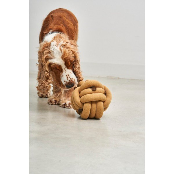 Kutyajáték Tubo Curry – MiaCara-image-3