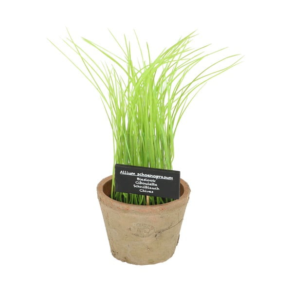 Műnövény (magasság 27 cm) Chives – Esschert Design-image-4