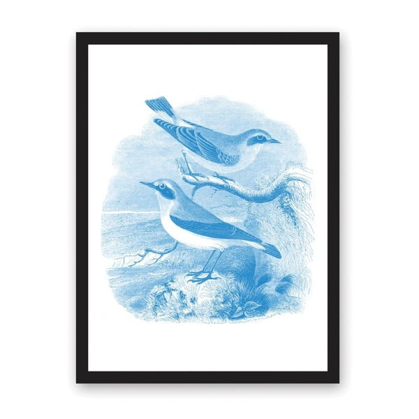 Sea Birds plakát, 29,7 x 42 cm - Ohh Deer