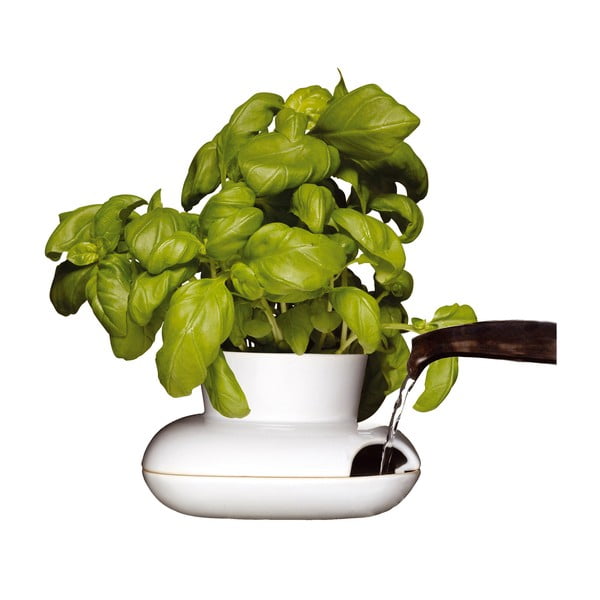 Herb porcelán kaspó fűszernövényekhez - Sagaform