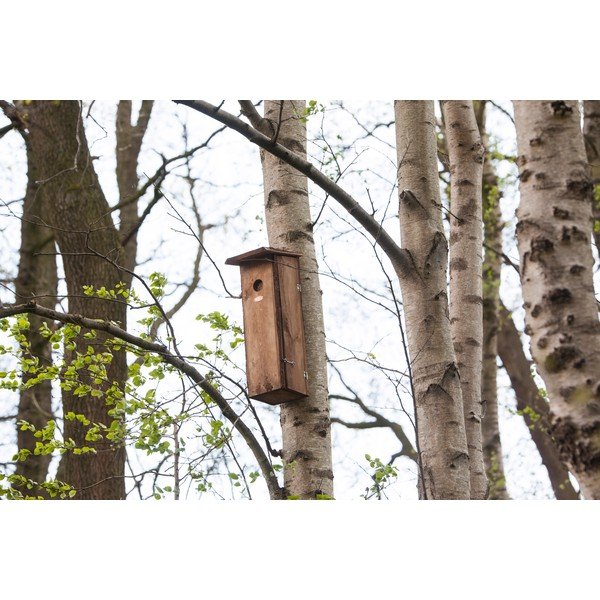 Fa madárház – Esschert Design-image-1