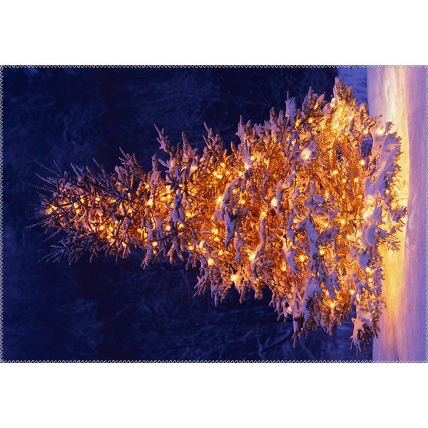 Christmas Period Lit Up Tree Outside szőnyeg, 50 x 80 cm - Vitaus