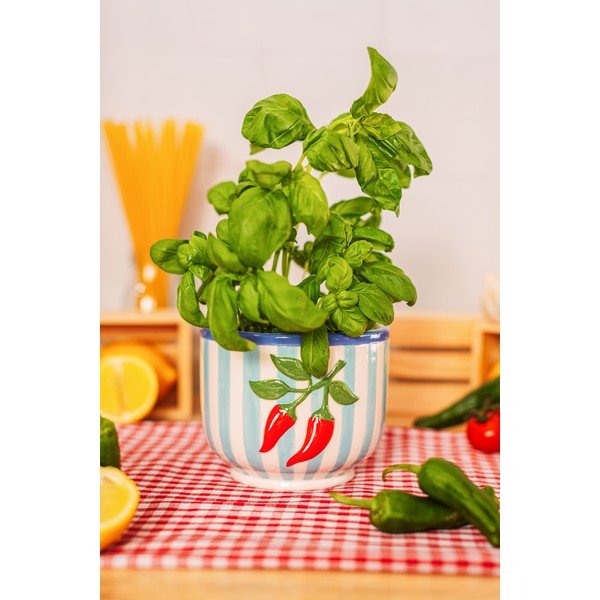Kerámia kézzel festett kaspó ø 12 cm Chilli – Sass & Belle-image-1
