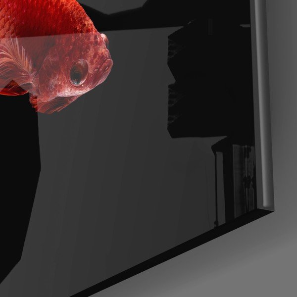 Betta II. üvegezett kép - Insigne-image-3