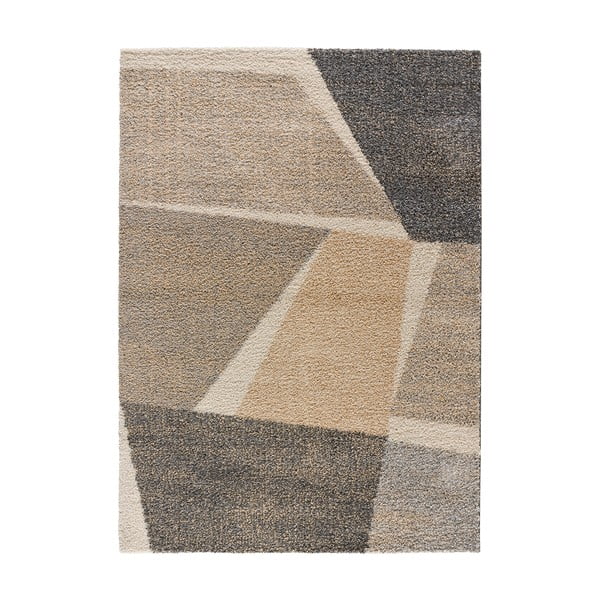 Szürke-bézs szőnyeg 160x230 cm Cesky – Universal