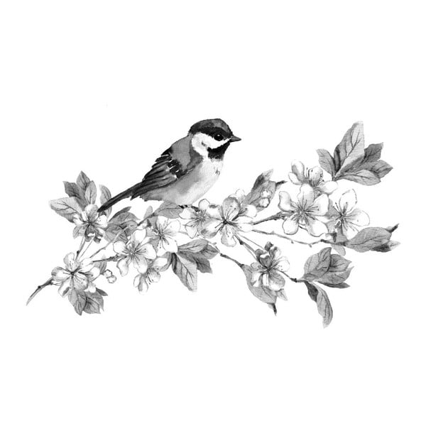 Black&White Birdie kép, 45 x 70 cm
