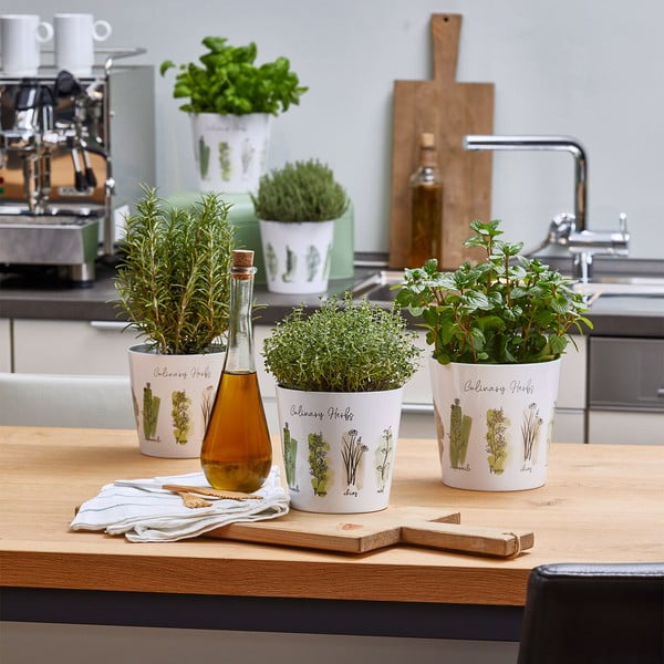 Kerámia kaspó szett gyógynövényekhez 2 db-os ø 14 cm Dalllas Culinary - Big pots-image-2