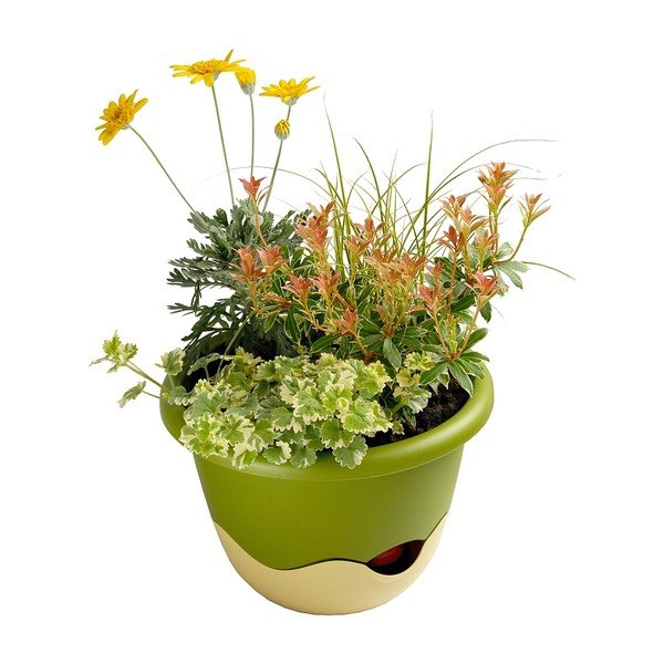 Mareta zöld-fehér felfüggeszthető önöntöző kaspó, hosszúság 25 cm - Plastia-image-2