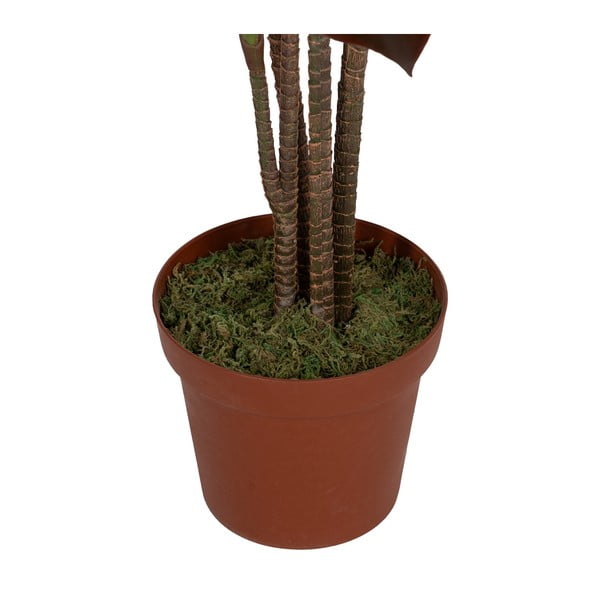 Műnövény (magasság 170 cm) – Ixia-image-3