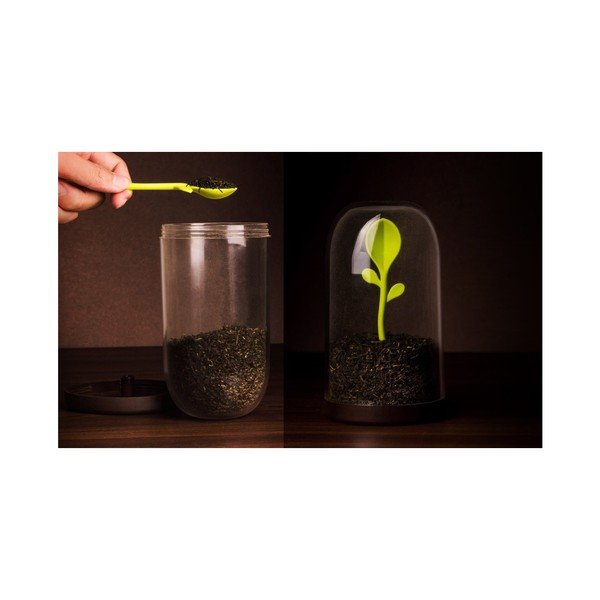 Sprout Jar doboz kanállal - Qualy&CO-image-1