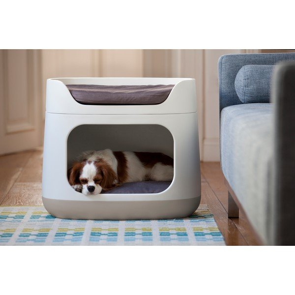 Bunkbed bézs kisállatágy kutyáknak és cicáknak - Curver-image-1