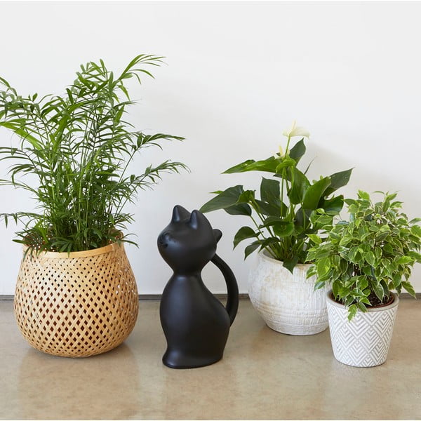 Műanyag locsolókanna 2 l Meow – Balvi-image-1