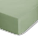 Zöld gumis perkál lepedő 90x190 cm Easy Iron Percale – Catherine Lansfield