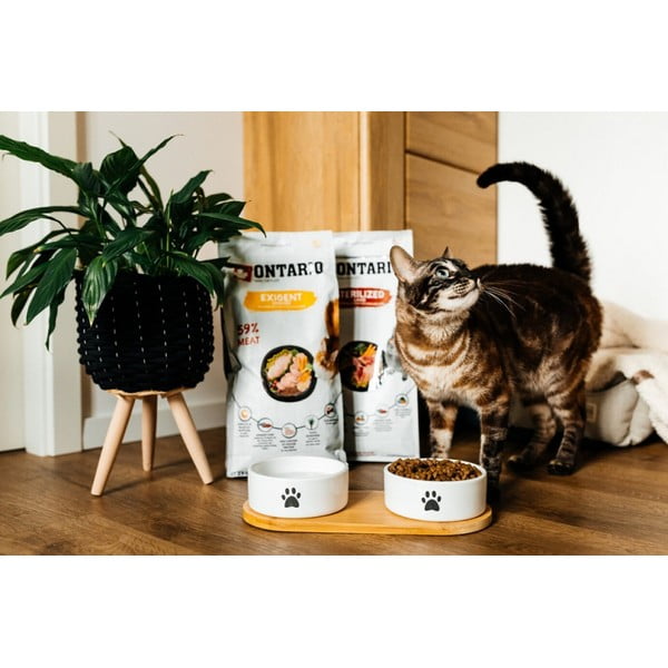 Kerámia tálka szett álvánnyal kutyáknak ø 13 cm Dog Fantasy – Plaček Pet Products-image-1