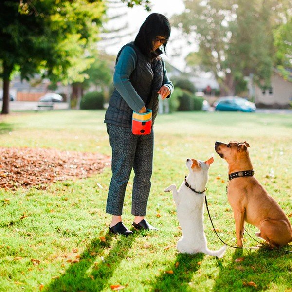 Jutalomfalat tartó Deluxe Sunrise - P.L.A.Y.-image-1