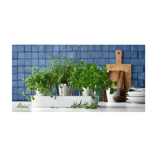 Gourmet 3 db rozsdamentes fűszernövény tartó - WMF-image-1