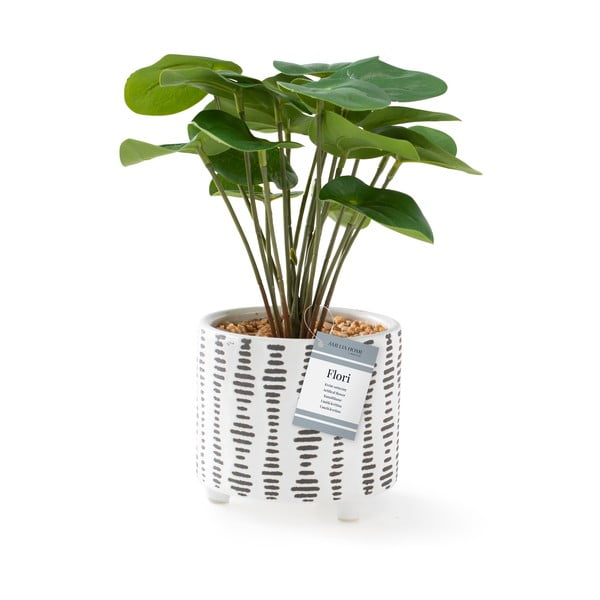 Műnövény (magasság 23 cm) Flori Pilea – AmeliaHome