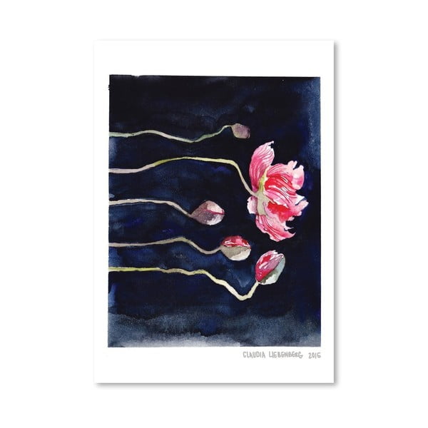 Blooms on Black III by Claudia Libenberg plakát, 30 x 42 cm - Americanflat