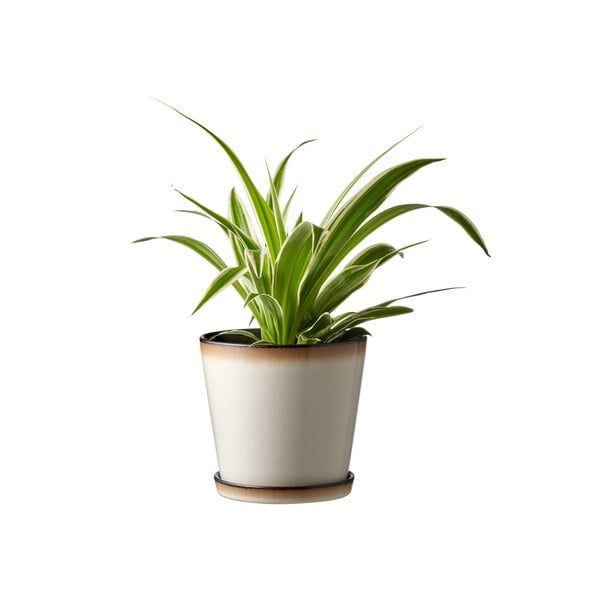 Kőedény virágcserép ø 14 cm Gastro  – Bitz-image-1