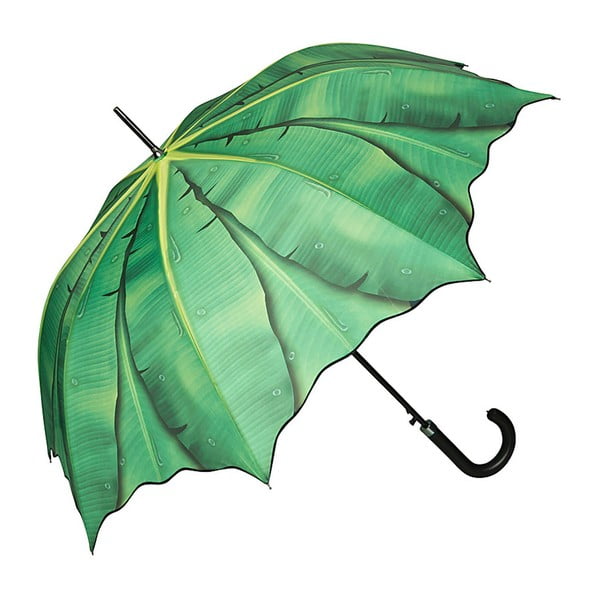 Banana Leafes zöld botesernyő - Von Lilienfeld