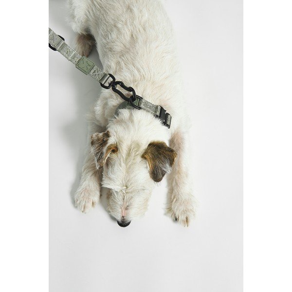 Zöld nyakörv L/XL hosszúság 40 cm Modena Grolive L/XL – MiaCara-image-1