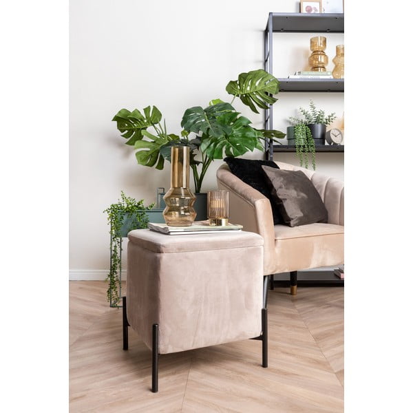 Tender fekete bársony párna, 40 x 40 cm - PT LIVING-image-4