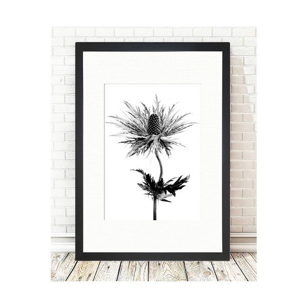 Poszter 24x29 cm Thistle Vibes – Tablo Center-image-1