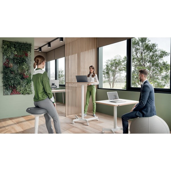 Ergonomikus egyensúlyozó szék üléshez Ergo – Leitz-image-2