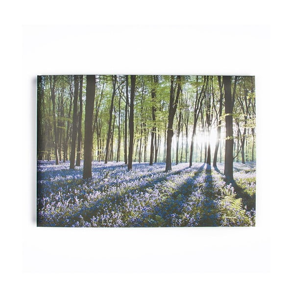 Bluebell Landscape kép, 100 x 70 cm - Graham & Brown