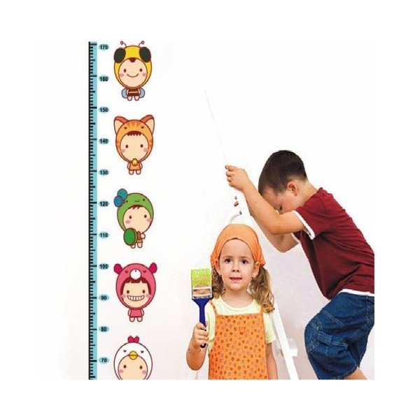 Kidmeter falmatrica - Ambiance-image-1