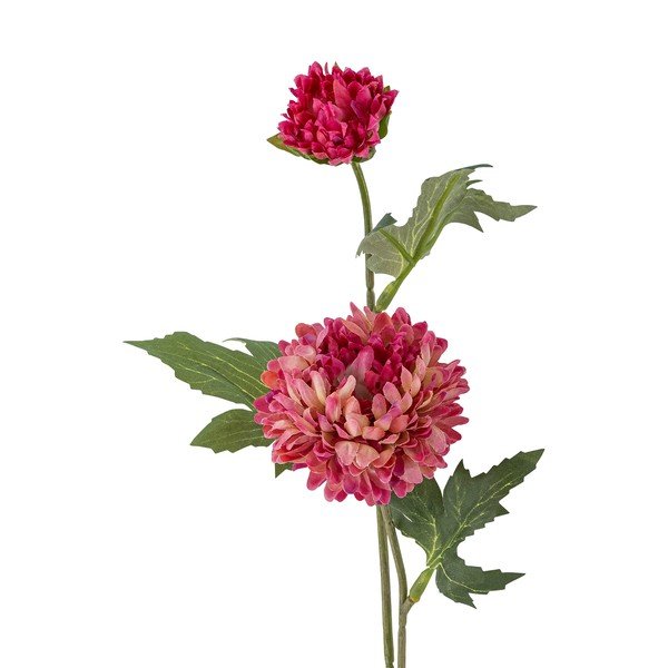 Művirág (magasság 47 cm) Chrysantemum – Bloomingville-image-2