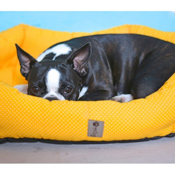 Sárga pamut fekhely 75x60 cm Sunny - Petsy-image-1