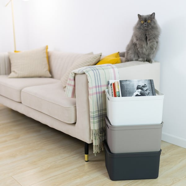 Műanyag tárolódoboz fedéllel Deco - Rotho-image-1