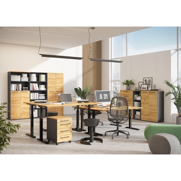 Íróasztal elektromosan állítható magassággal, tölgyfa dekoros asztallappal 80x160 cm Agenda – Germania-image-4