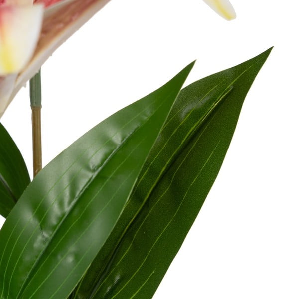 Művirág (magasság 58 cm) Lily – Ixia-image-4