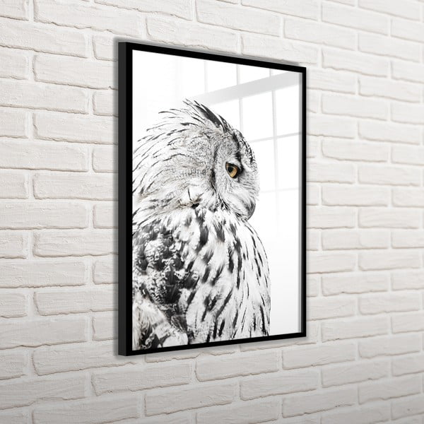 Kép 50x70 cm Owl – Styler-image-4