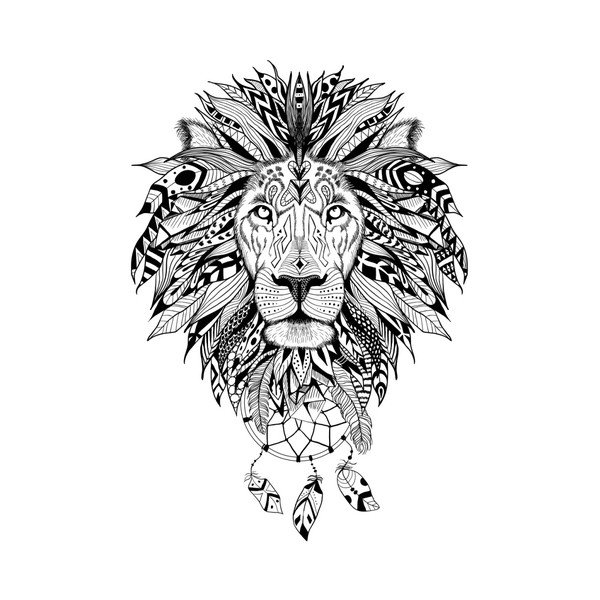 Lion matrica - Ambiance-image-2