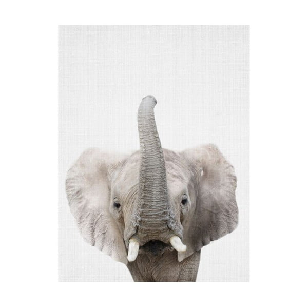 Baby Animals Elephant poszter, 30 x 40 cm - Blue-Shaker