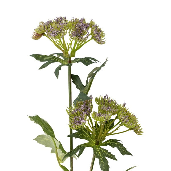 Műnövény (magasság 49 cm) Throatwort – Bloomingville-image-2