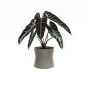 Kerámia virágcserép ø 20 cm Diana – Artevasi